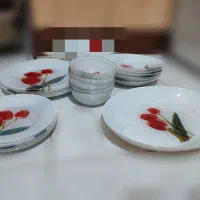 سرویس آرکوپال طرح گل لاله