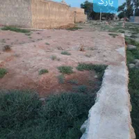 فروش فوری زمین ۱۵۰متری کوی ابوذر پشت مسجد ملا ماضی|فروش زمین و ملک کلنگی|سوسنگرد, |دیوار