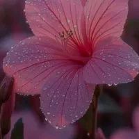 خط ۰۹۱۲