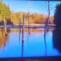 تلویزیون سامسونگ ۵۰اینج فورکیu8000|تلویزیون و پروژکتور|آزادشهر, |دیوار