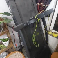 تردمیل تی ۲۱۰