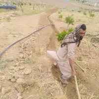 فوقالعاده و ویژه|فروش زمین و ملک کلنگی|شیراز, جوادیه|دیوار