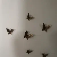 پروانه سه بعدی