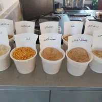 خوراک دام وطیور