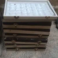 قاب انگشتر