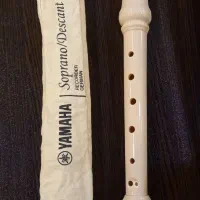 فلوت یاماهااصلی|سازهای بادی|اصفهان, بهارستان|دیوار