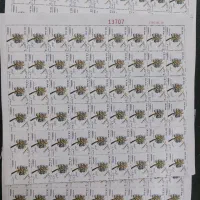 فروش تمبر پستی|کلکسیون سکه، تمبر، اسکناس|رباط‌کریم, شهرستانک|دیوار