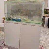آکواریوم همراه با میز|ماهی|رشت, پیرکلاچای|دیوار