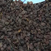 کشمش قزوین|خوردنی و آشامیدنی|قزوین, |دیوار