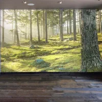 سقف کاذب .سقف کشسان. باریسول .آسمان مجازی.سقف کششی|خدمات پیشه و مهارت|اصفهان, مشکین|دیوار