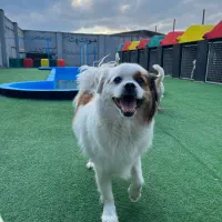 نظافت نگهداری و مراقبت