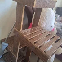 پایه گلدان|گل و گیاه طبیعی|کرمان, |دیوار