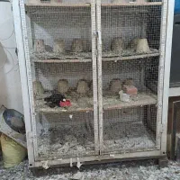 قفس آلومینیومی
