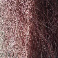 دو خاور جاروی محلی|لوازم نظافت|اسفراین, |دیوار