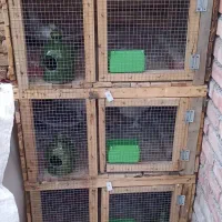 قفس چوبی سه طبقه