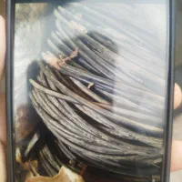 شلنگ آبیاری قطره ای|ابزارآلات|کلاله, |دیوار