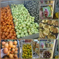 فروشنده خانم جهت میوه فروشی