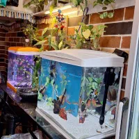 آکواریوم ساحل