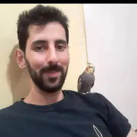 گمشده
