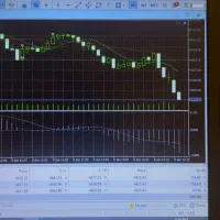 ربات طلای آلفا آموزش فارکس