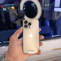 ۱۳پروطلایی