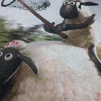 فرش اتاق بچه|فرش|رودهن, |دیوار