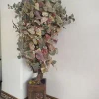 درختچه