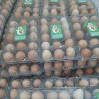 فروش تخم مرغ محلی گلپایگان|خوردنی و آشامیدنی|پاکدشت, خاتون آباد|دیوار