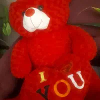 خرس ولن تاین|اسباب‌‌بازی|تهران, قلهک|دیوار