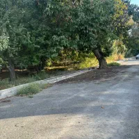 زمین 500 متری سند تک برگ کردزار