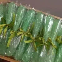 نبات پذیرایی