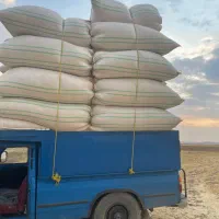 خرید و‌فروش کاه و یونجه