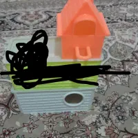 لانه مرغ عشق و فنج