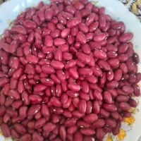لوبیا قرمز|خوردنی و آشامیدنی|محمدیه-قزوین, |دیوار