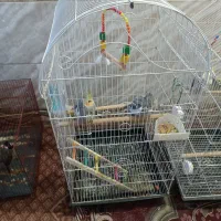 قفس پرنده