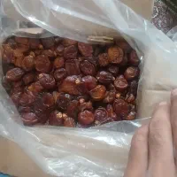 فروش انواع خرما تازه امسال نمایشگاه سیرجان|خوردنی و آشامیدنی|سیرجان, |دیوار