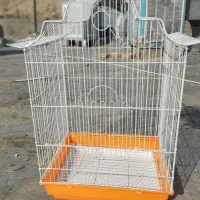 قفس قناری عروس هلندی مینا نو نونو