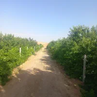 ۵۰۰متر باغ تفریحی باسند پل زمانخان|فروش دفتر صنعتی، کشاورزی، تجاری|اصفهان, خواجو|دیوار