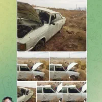 پیکان تصادفی