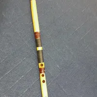 نی دشتی