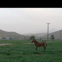 27000000