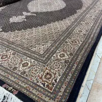 جفت۶ متری ماهی