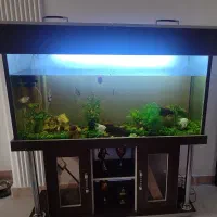 آکواریوم بزرگ