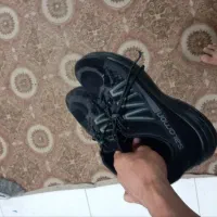 کفش سالامون|کیف، کفش، کمربند|بابل, |دیوار