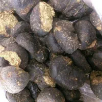 روث خر|خوردنی و آشامیدنی|اهواز, دغاغله|دیوار