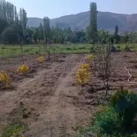 فروش زمین باغی