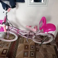 دوچرخه دخترانه درحد
