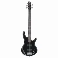 گیتار بیس آیبانز|گیتار، بیس، امپلیفایر|شیراز, میانرود|دیوار