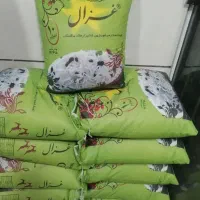برنج پاکستانی ایرانی و هندی
