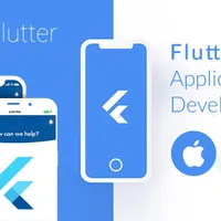 فلاتر کار یا توسعه دهنده web app